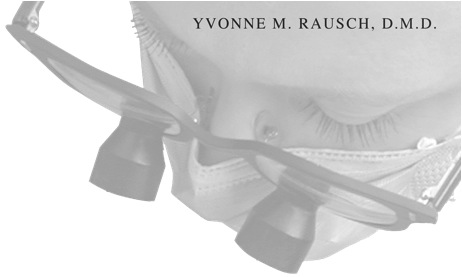 Yvonne Rausch D.M.D.